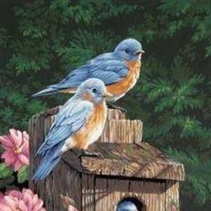 Meet your Posher, Catherine